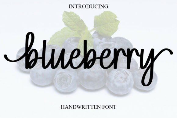 Blueberry: The Heartfelt Handwritten Font for Personal Projects